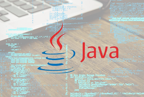 Digital School of Delhi || Courses