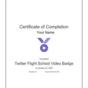 Advanced Digital Marketing Course In Faridabad 106 Twitter Flight School Video Badge