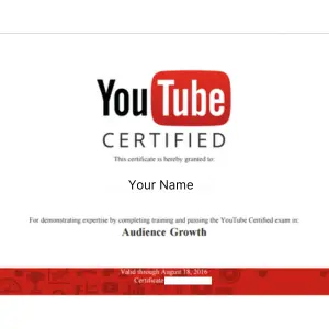 Advanced Digital Marketing Course In Faridabad 105 YouTube Certificate